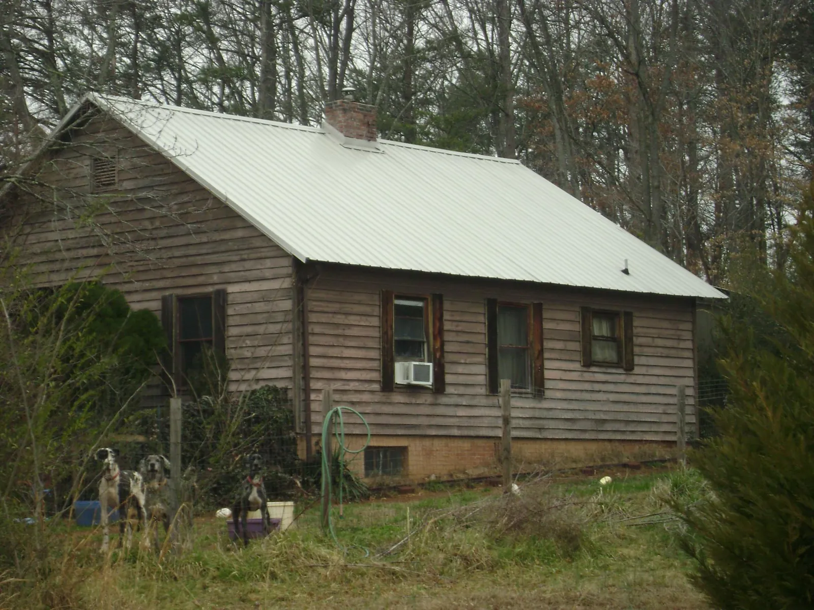 White metal roof on an old wood sided farmhouse, from a Asphalt Shingle Roof Repair job in Ennis